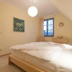 Neue Reihe 43 Regulus 4 *